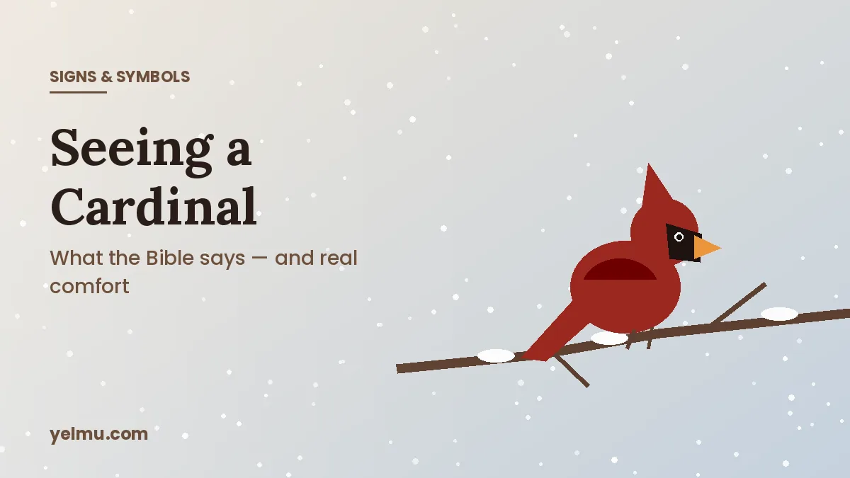 Illustration of a red bird silhouette on a winter branch for an article on the biblical meaning of cardinals