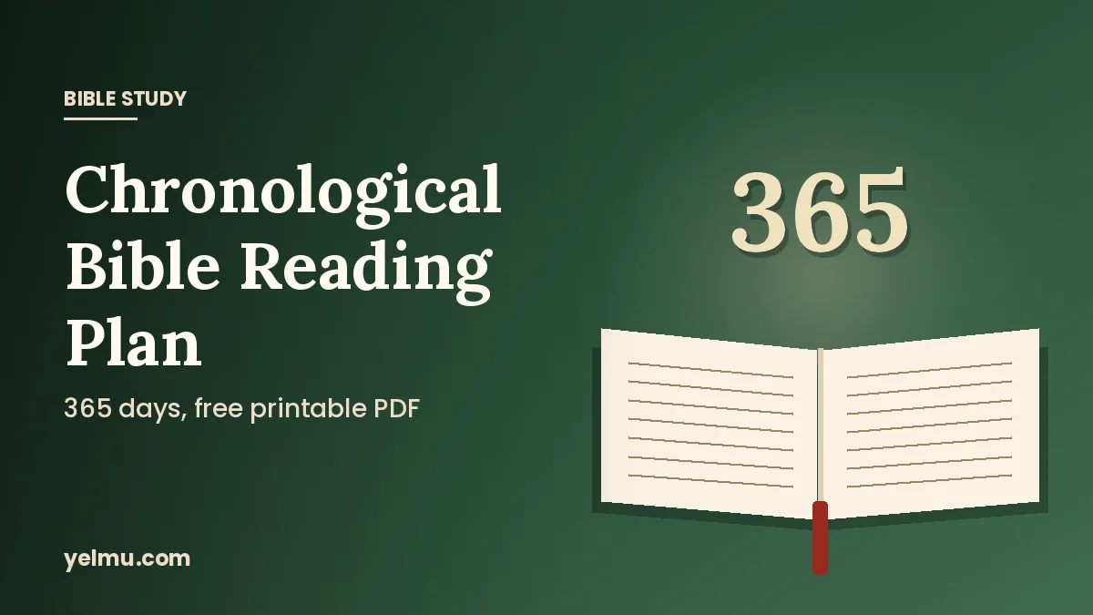 Illustration of an open Bible with the number 365 for a chronological Bible reading plan